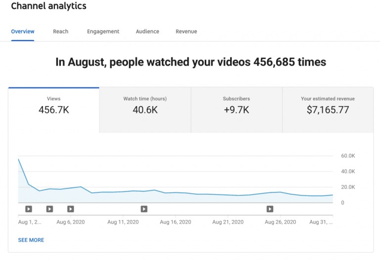 YouTube Earning Tracking