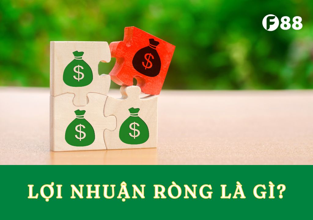 lợi nhuận ròng là gì