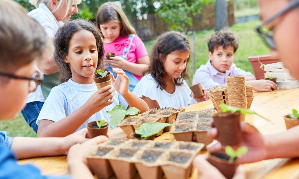 tree planting activities