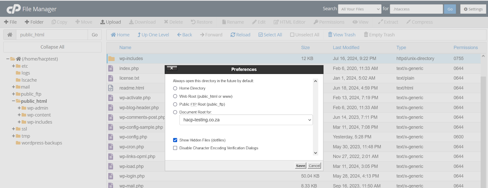 Show hidden files