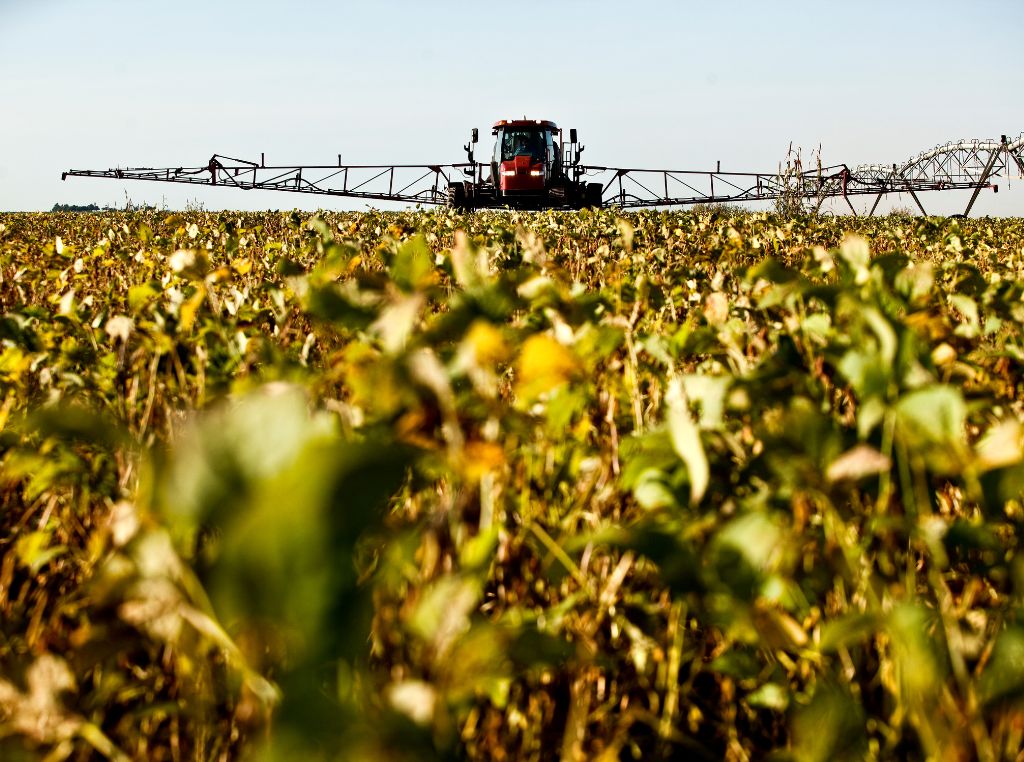 Estratégias para aumentar a produtividade da  plantação de soja