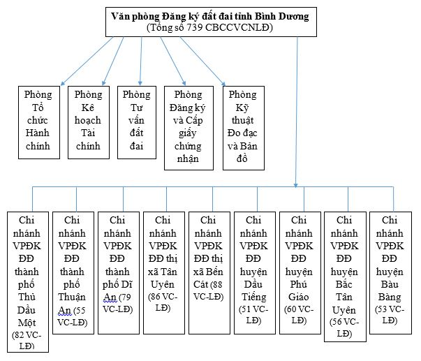 Cơ cấu tổ chức của Văn phòng đăng ký đất đai tỉnh Bình Dương