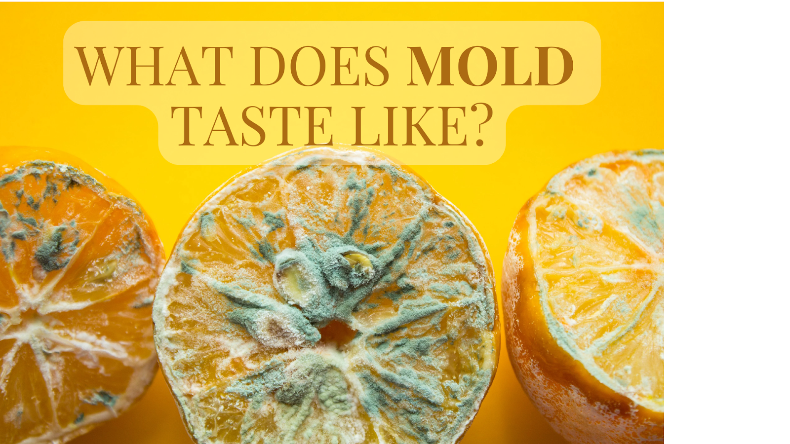 what does mold taste like