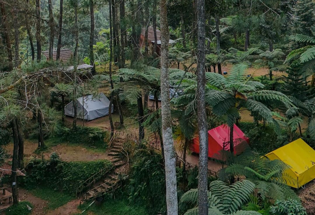 tempat camping terdekat Kampung Rimba Camping Ground