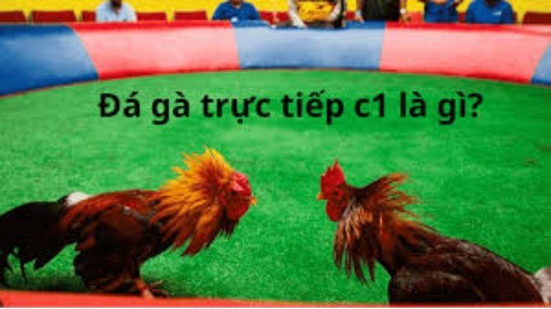 Nguồn gốc của Đá Gà Đòn C1