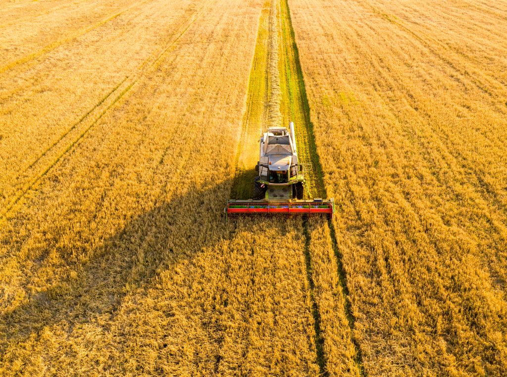 Tendências do mercado agro: o que esperar nos próximos anos
