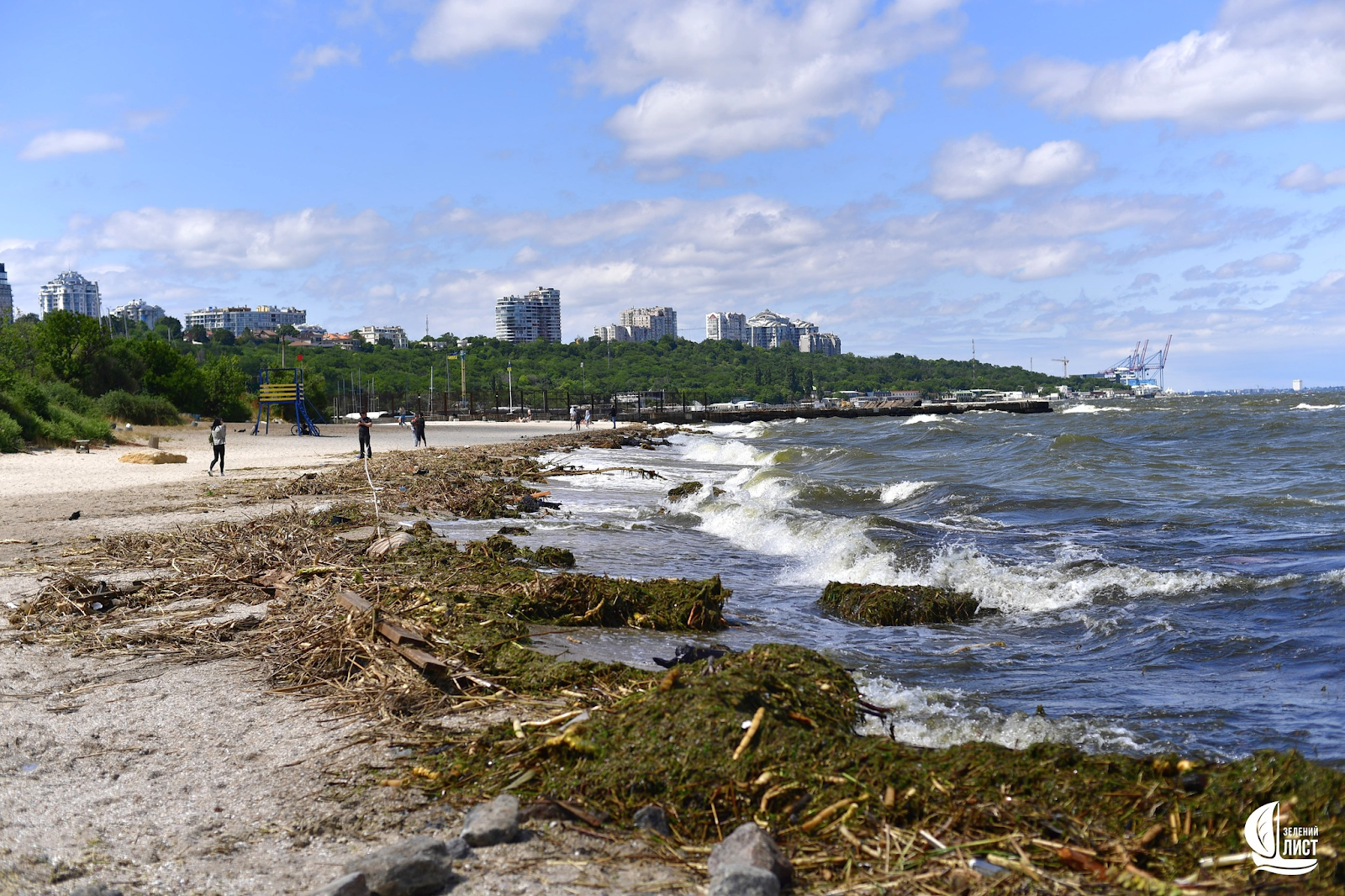 Вплив на Чорне море