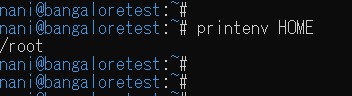 Using the printenv command