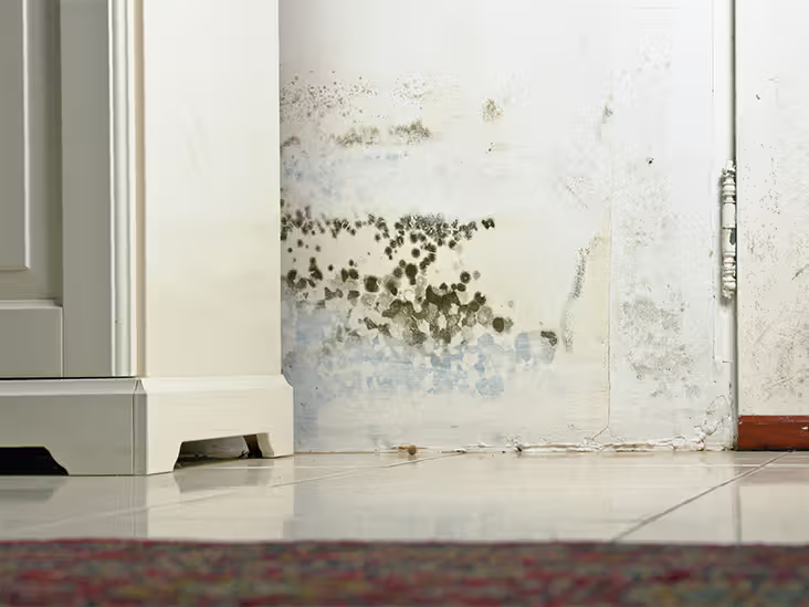 what causes mold in a house