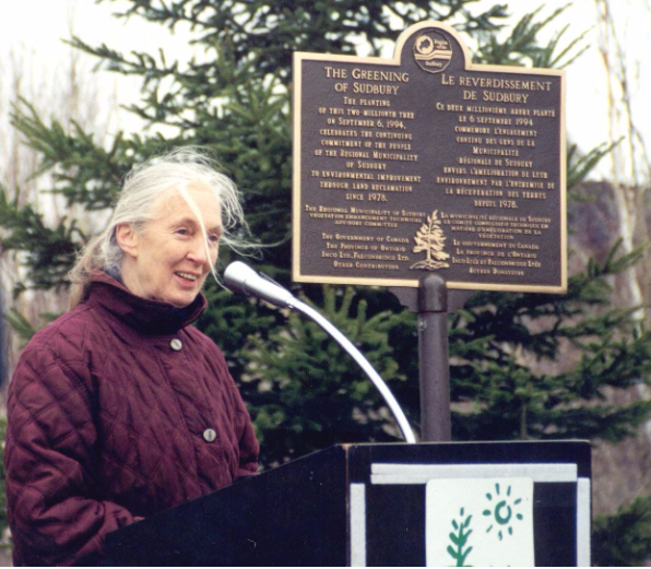 Jane Goodall recognizes Sudbury's regreening efforts.