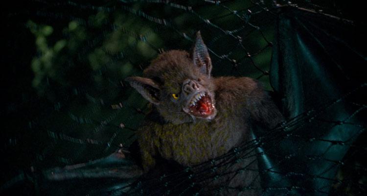 At Dawn They Sleep: Movies about Bats - Rabbit Reviews