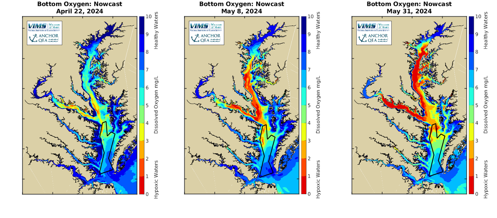 Three colorful maps show the progression and increase of hypoxia in the mainstem of the Chesapeake Bay and Potomac River from April into May 2024