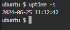 uptime -s