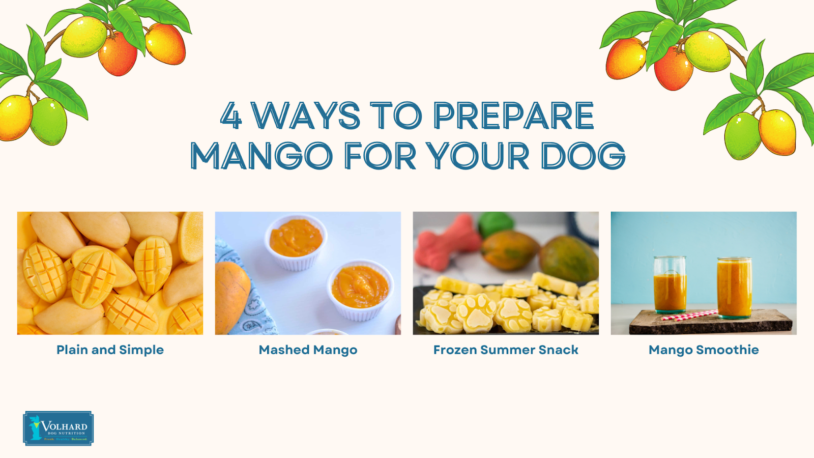 How to prepare mango for dogs