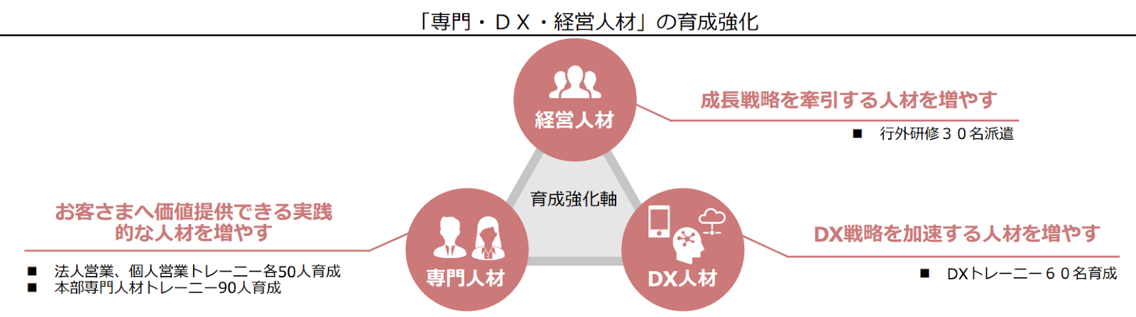 人材育成の3タイプ｜専門・DX・経営人材