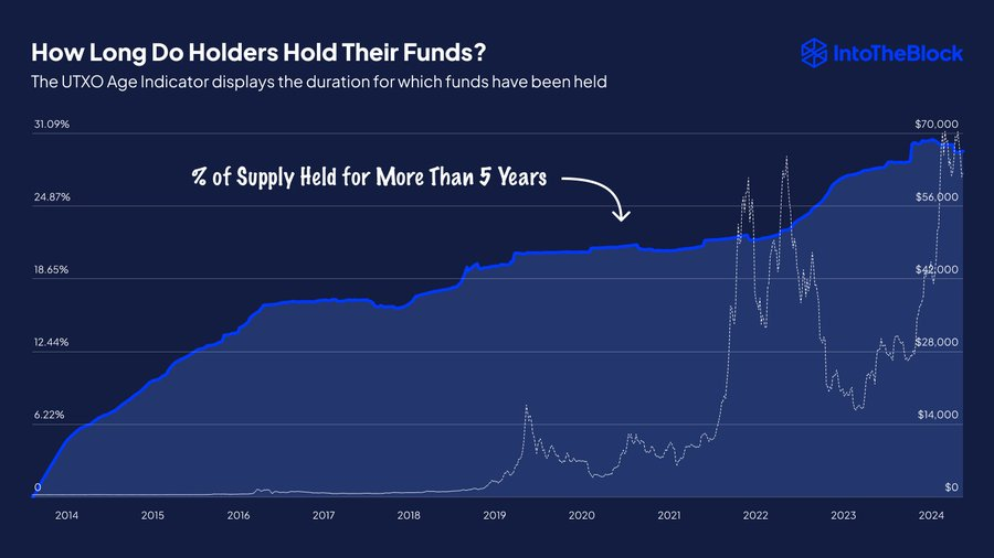 ราคา Bitcoin ลดลงเหลือ 55,000 ดอลลาร์: ทำไมนักลงทุนที่มีความชำนาญจึงไม่สะทกสะท้าน