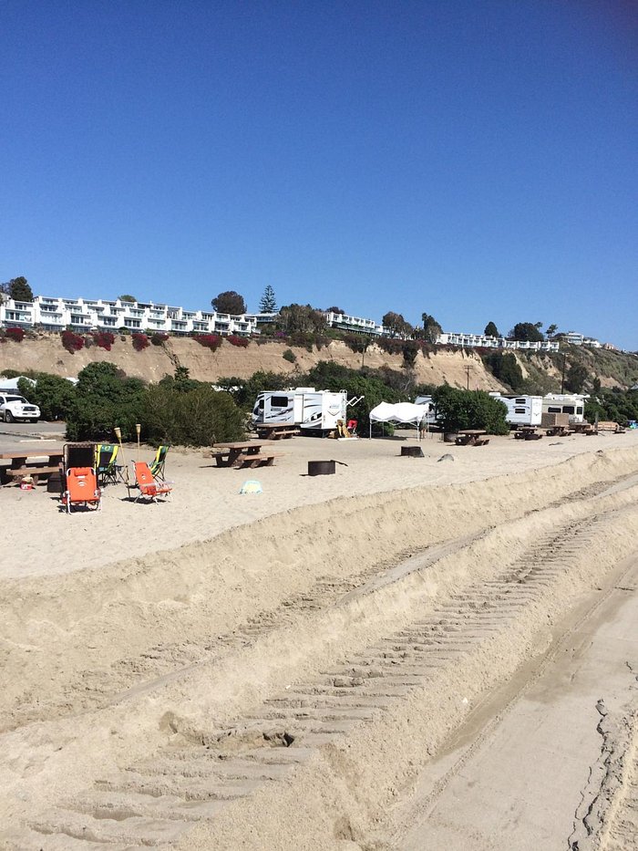 Doheny State Beach Camping: Ultimate Guide to Coastal Adventure