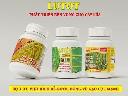 D:\LUTOT\CẢ-3.jpg