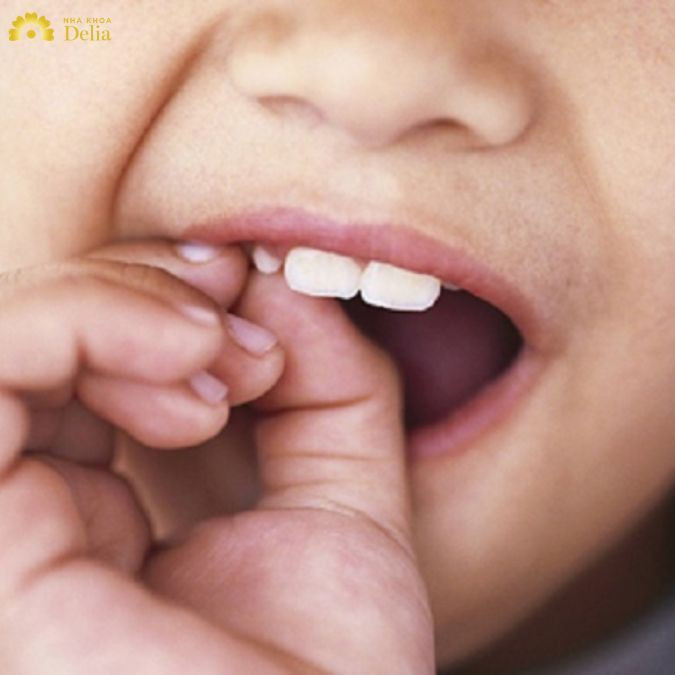 Từ 7 đến 12 tuổi, trẻ bắt đầu mọc răng vĩnh viễn để thay thế cho răng sữa