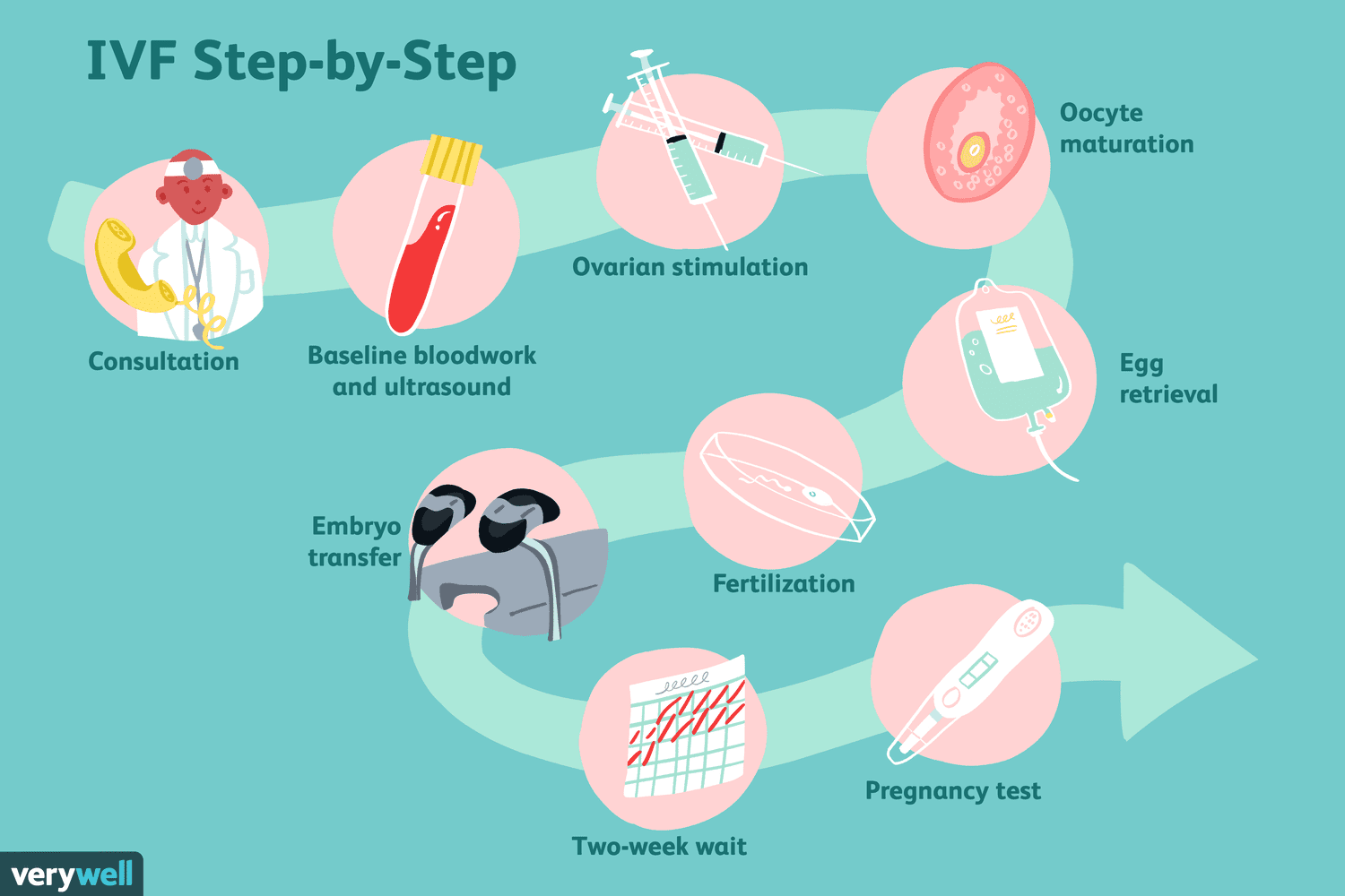 quy trình IVF