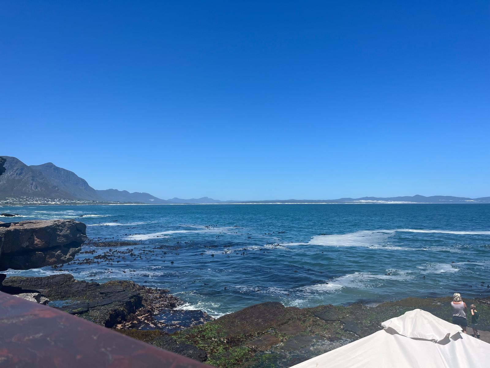 Beautiful whale watching day in Hermanus, South Africa