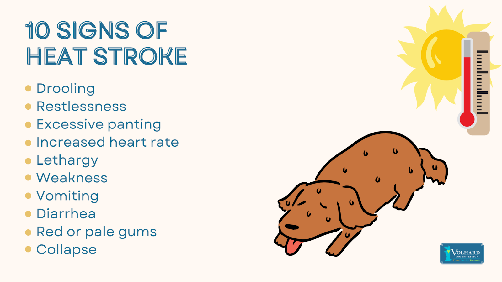 Signs of heat stroke