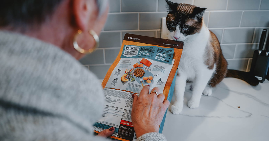 <p data-mce-fragment="1"><em data-mce-fragment="1">A cat owner reading the cat food ingredient label.</em></p> <h2 data-mce-fragment="1"><strong data-mce-fragment="1"></strong></h2>