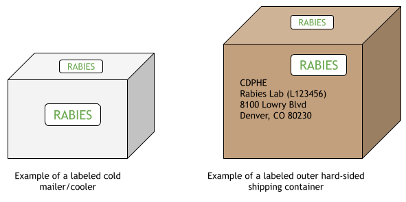 An example of how to properly label cold mailer/cooler and hard-sided shipping container with pre-printed rabies labels.