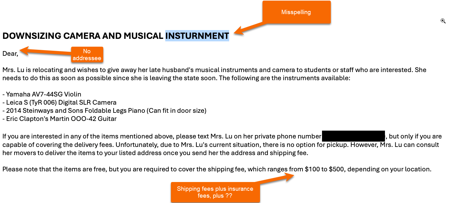 Screenshot of downsizing camera and musical instrument scam