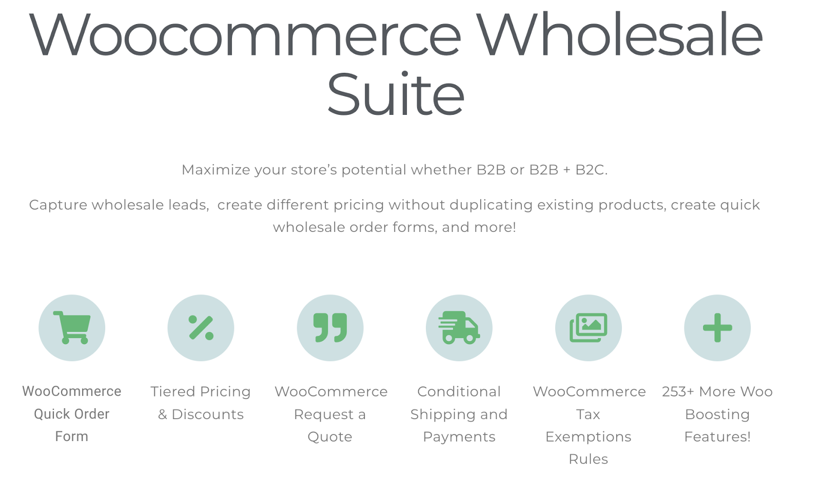 WooCommerce Wholesale Suite 