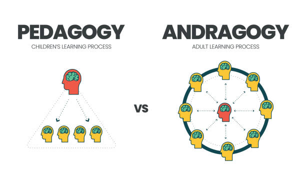 A comparison of a diagram of a person's brain Description automatically generated