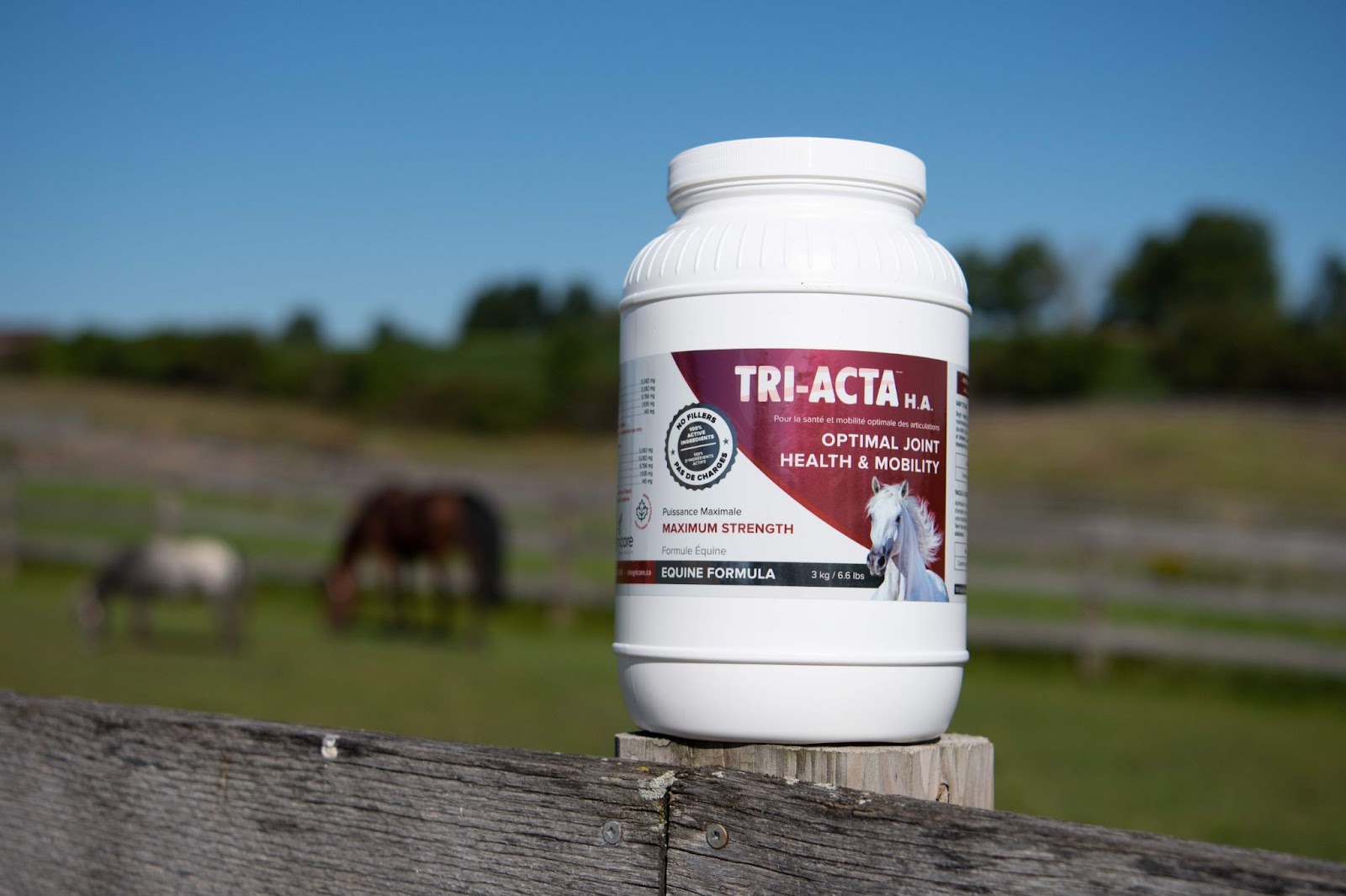 triacta-ha-equine-horse-joint-supplement