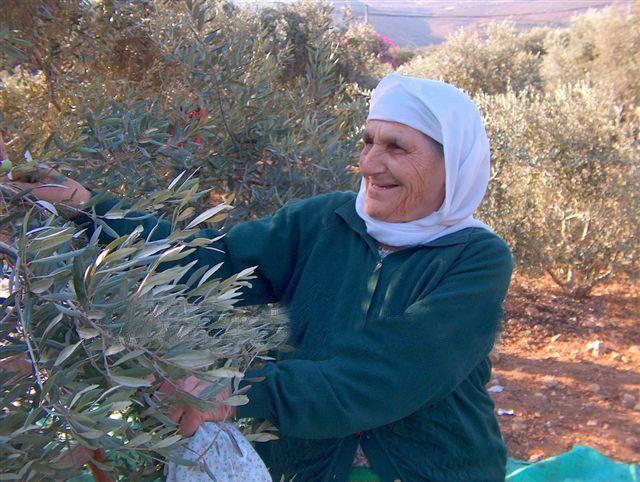 Uprooted Palestinian: SALAM ALQUDS ALAYKUM – سلام القدس عليكم: The ...