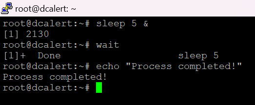 Single Process wait Example