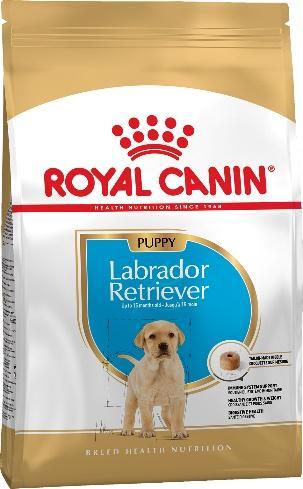 D:\RC\Launches&product info\Dogs\SPT assortment\BHN 2019\BHN_LABRADOR RETRIEVER_PUPPY\PU_LABRADOR_PACKSHOT_BHN18-54pc.jpg