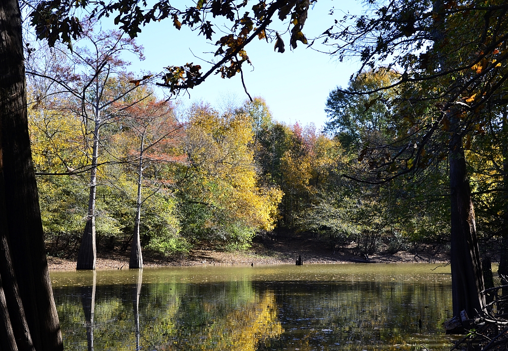 Arkansas deer hunting season; Bayou Meto Wildlife area