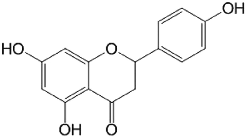 naringenin structure