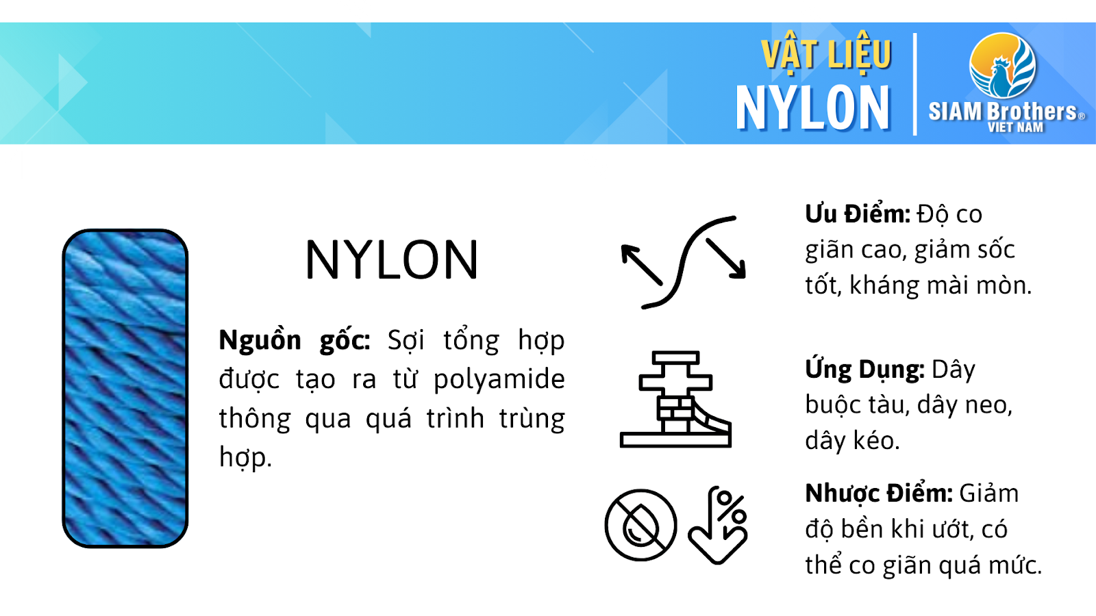 HƯỚNG DẪN TOÀN BỘ VỀ DÂY THỪNG HÀNG HẢI: LỰA CHỌN VÀ ỨNG DỤNG