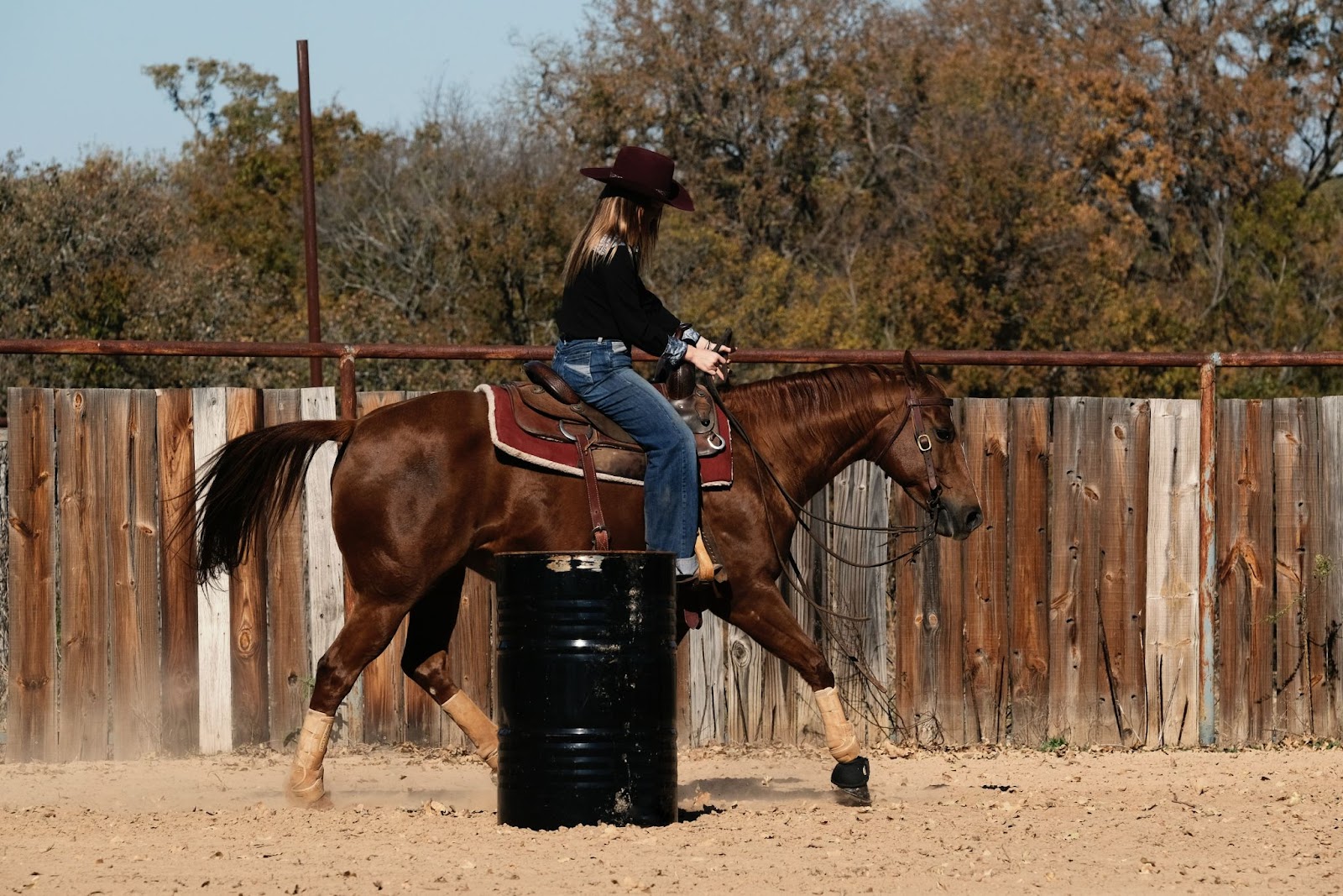 Peoa montada em seu cavalo, atrás de um barril metálico preto e em frente a uma cerca de madeira.