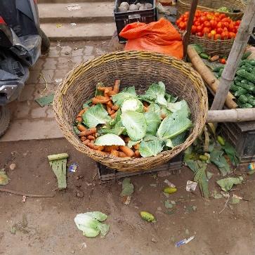 A basket of vegetables and carrots

Description automatically generated
