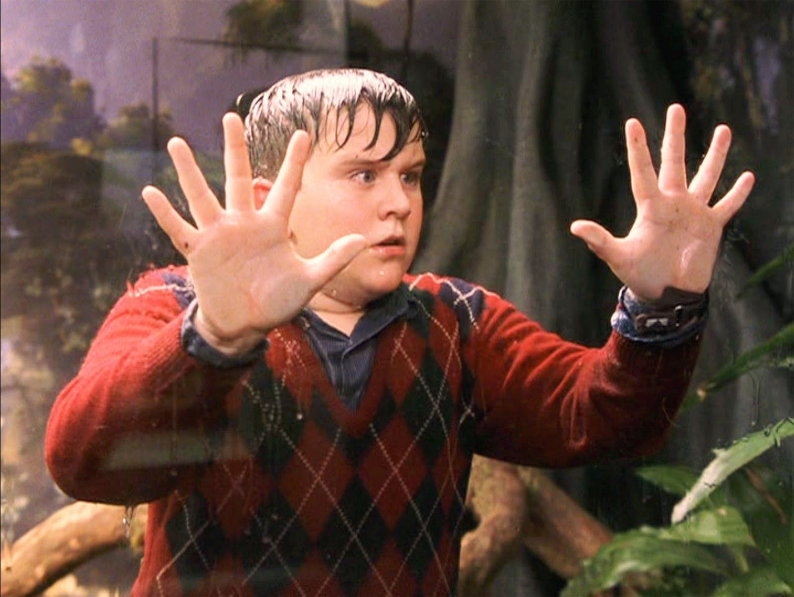 Dudley Dursley - Characters Beginning With D