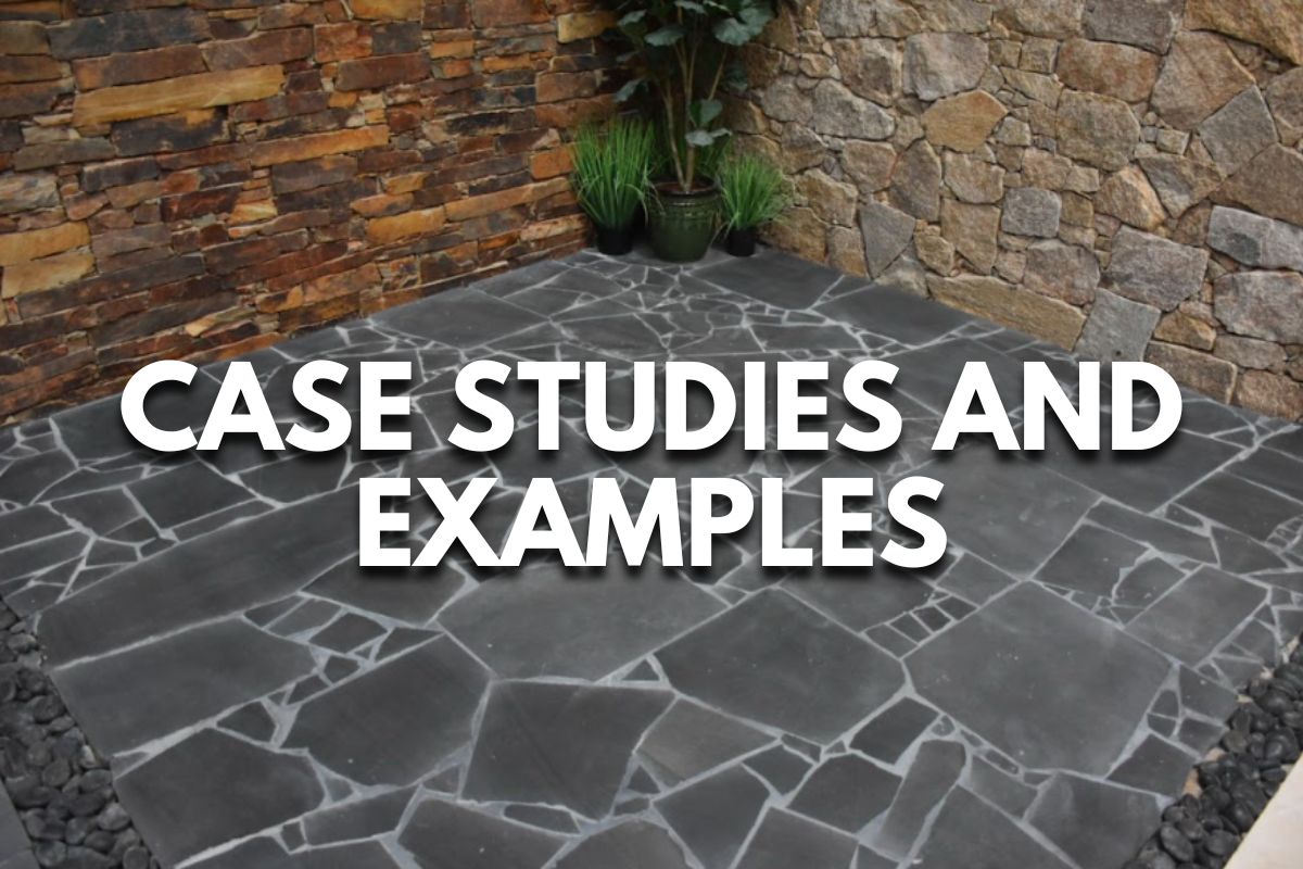 Case Studies and Examples