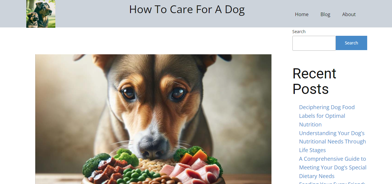 How To Care For A Blog, furry blog post