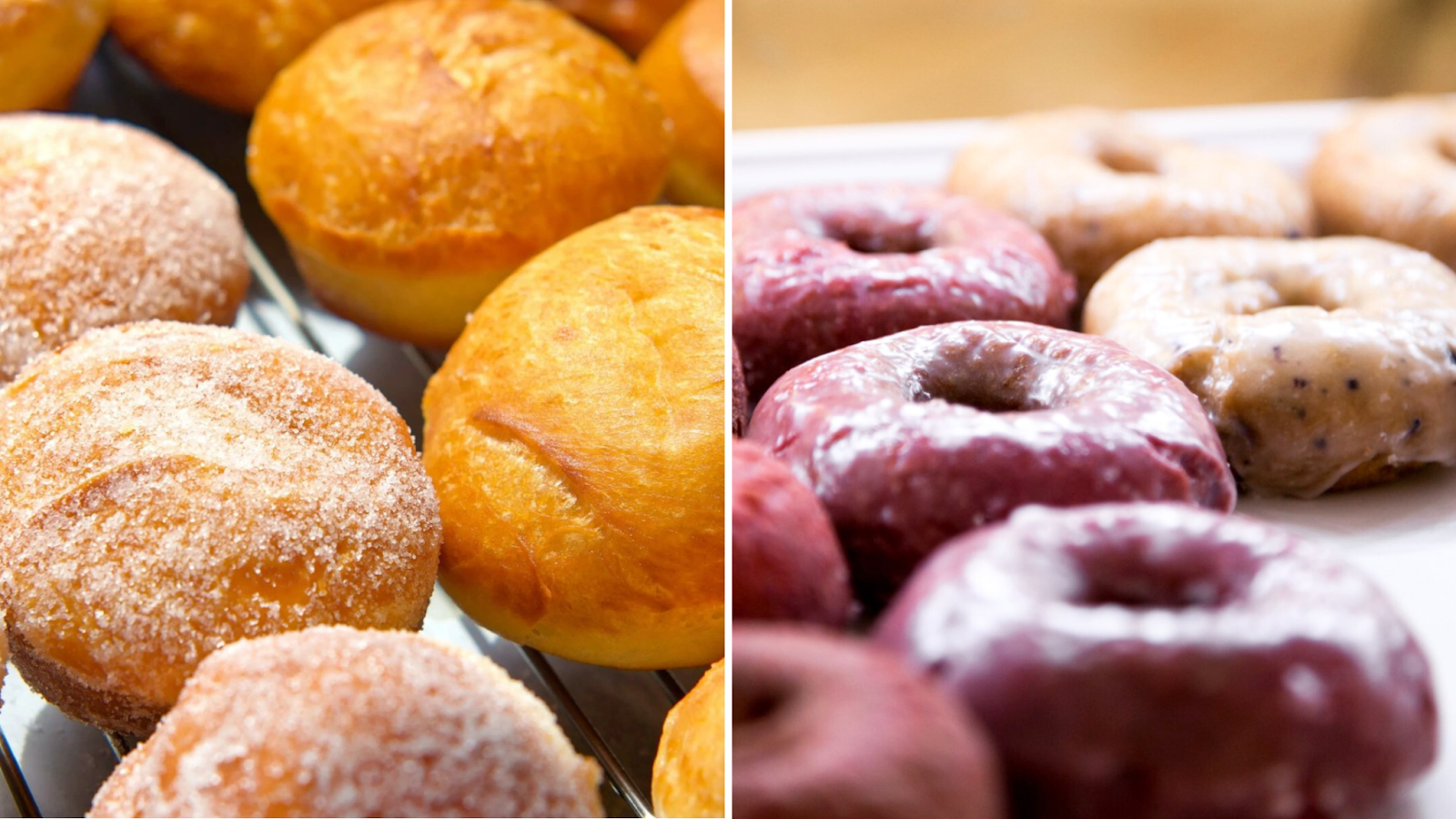 A selection of 4 types of donuts from Banbury Cross Donuts in Salt Lake City, Utah.