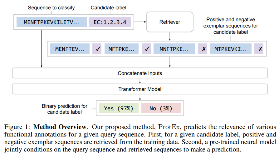 ProtEx: Enhancing Protein Function Prediction with Retrieval-Augmented Deep Learning