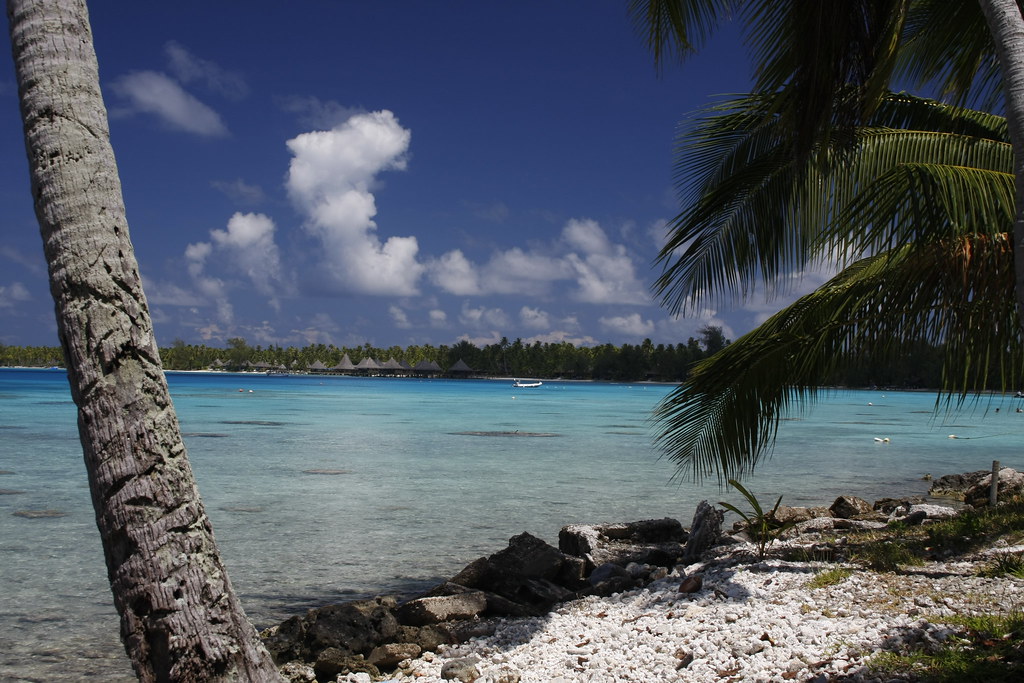 white sand beach with crystal clear water.