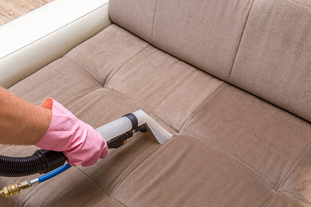 Leather Sofa Care