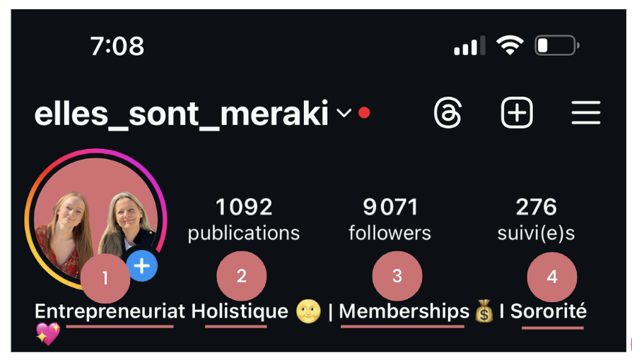 La biographie Instagram d'Elles Sont Meraki avec une photo de profil et une biographie optimisée pour le référencement SEO Instagram. Les données incluent le nombre de publications, de followers, de suivies. 