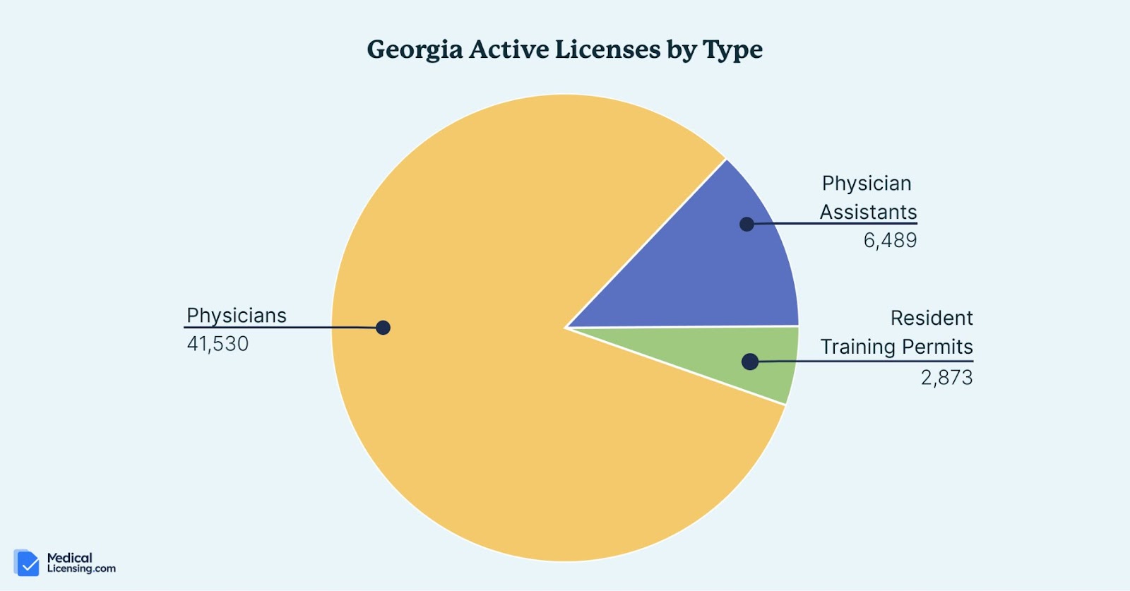 georgia medical license active by type