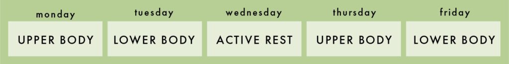 The ideal workout schedule consists of an upper body and a lower body workout, repeated twice on alternating days, with an active rest day in between.